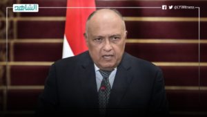 وزير الخارجية المصري: لابد من تحقيق حل سياسي شامل في ليبيا
