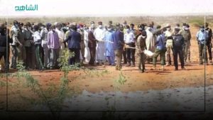 النيجر: إعدام 17 طن “حشيش” كانت في طريقها إلى ليبيا