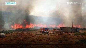 ليبيا.. إخماد حريق نشب في غابة عين مارة بالجبل الأخضر