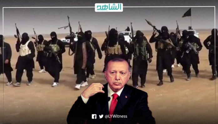 أردوغان وتركيا والإرهاب