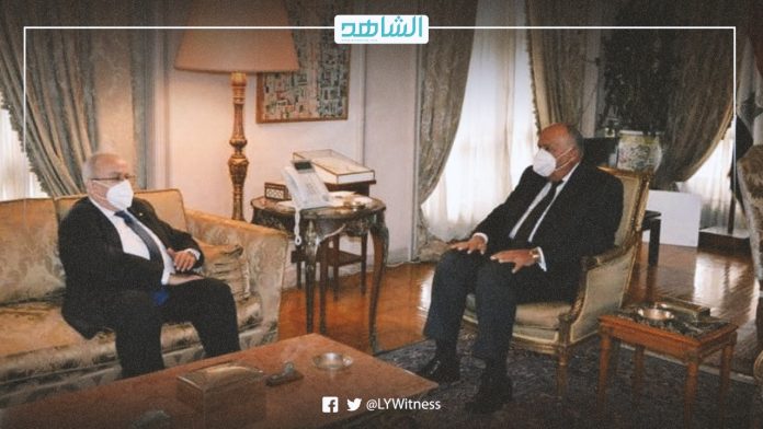وزير الخارجية المصري ونظيره الجزائري