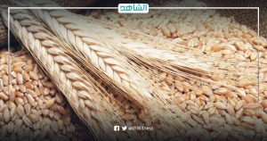 ليبيا.. محاولة لمواجهة ارتفاع الأسعار باستيراد كميات من القمح