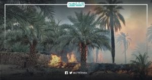 ليبيا.. حريق يلتهم ما يقرب من 1000 نخلة مثمرة في زلة