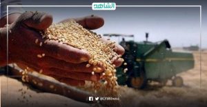 ليبيا تتفاوض مع روسيا لشراء 350 ألف طن من الحبوب والطحين