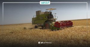 إنتاج ليبيا من الحبوب يتراجع لمستويات قياسية.. وخبراء يوضحون الأسباب