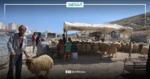 ليبيا.. الشرطة الزراعية تؤكد خلو “سوق الثلاثاء” بالزاوية من الحمى القلاعية