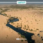 تسرب نفطي