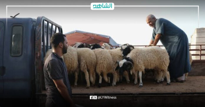 أضاحي العيد