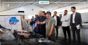 وزارة الاقتصاد: انخفاض أسعار الأسماك في طرابلس بعد قرار حظر التصدير